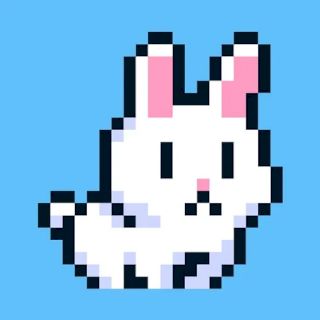 Poor Bunny Poor Bunny