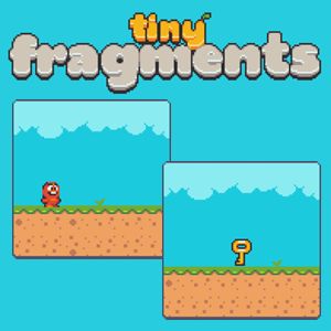 Tiny Fragments Tiny Fragments