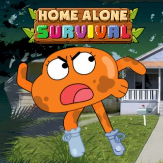 Home Alone Survival Home Alone Survival