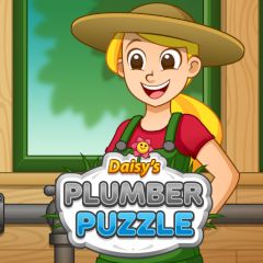 Daisy Plumber Puzzle